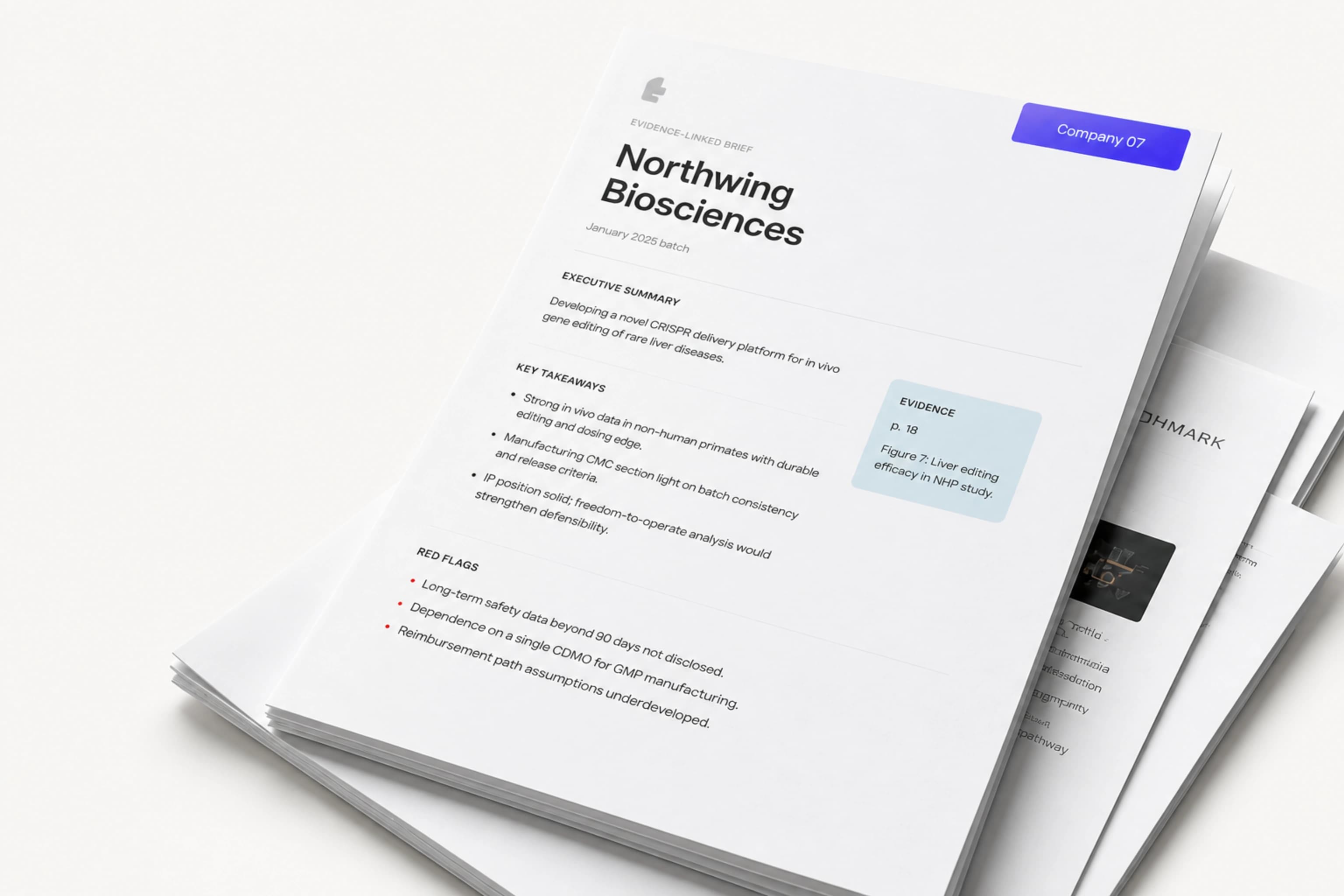 A stack of evidence-linked screening briefs prepared for an angel network